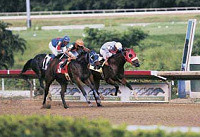 Hipódromo Camarero