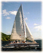 Salty Dog Sailing
