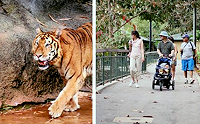 Dr. Juan A Rivero National Zoo